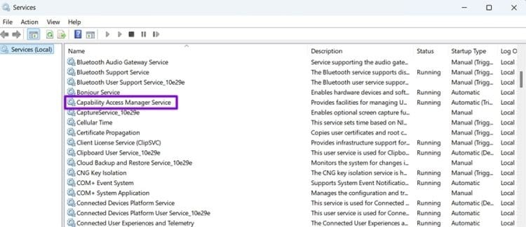 نحوه بررسی فایلهای Capability Access Manager 1