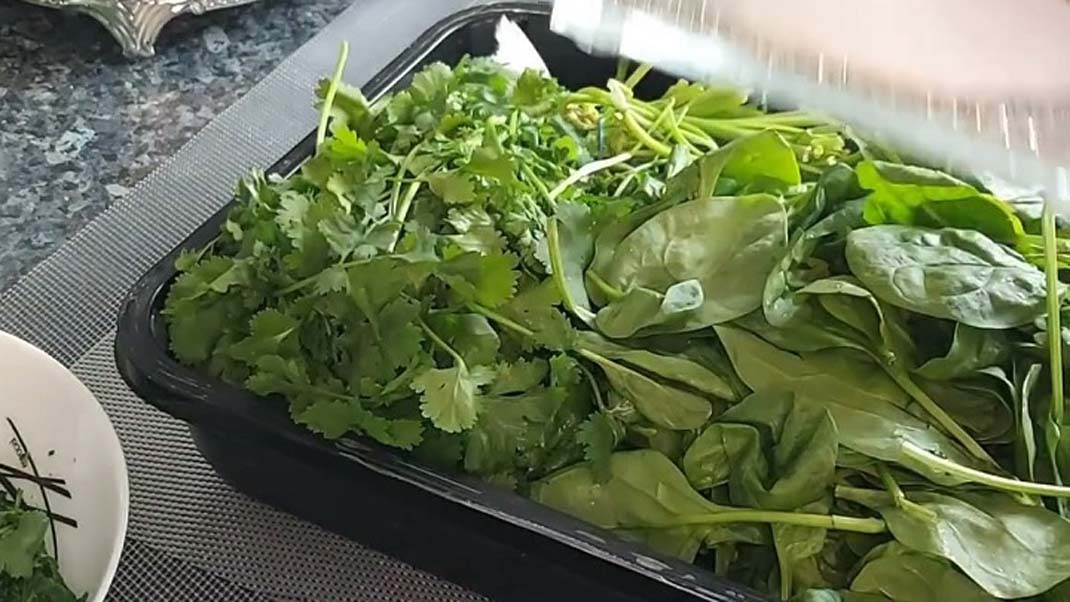 نگهداری سبزی خوردن در قابلمه